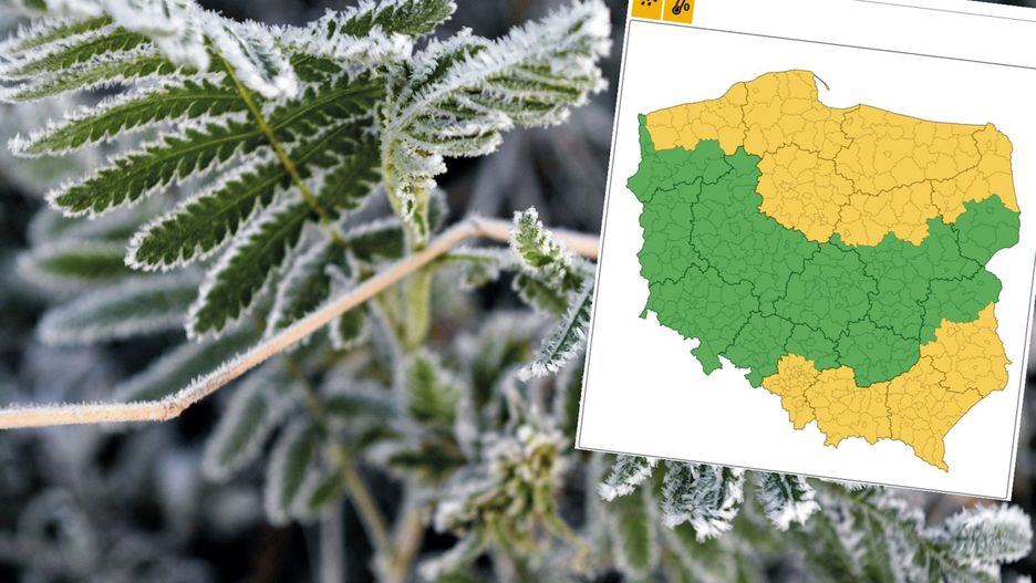 Pogoda. Zimni ogrodnicy. Alerty IMGW na północy i południu Polski