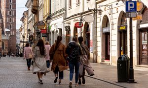 W kleszczach demografii. Alarmujący raport polskiego banku