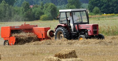 Bezrobocie schowało się na wsi