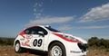Peugeot 207 RC Rallye