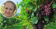 Zerwij liście winogron i zalej je winem. To najlepszy domowy eliksir młodości