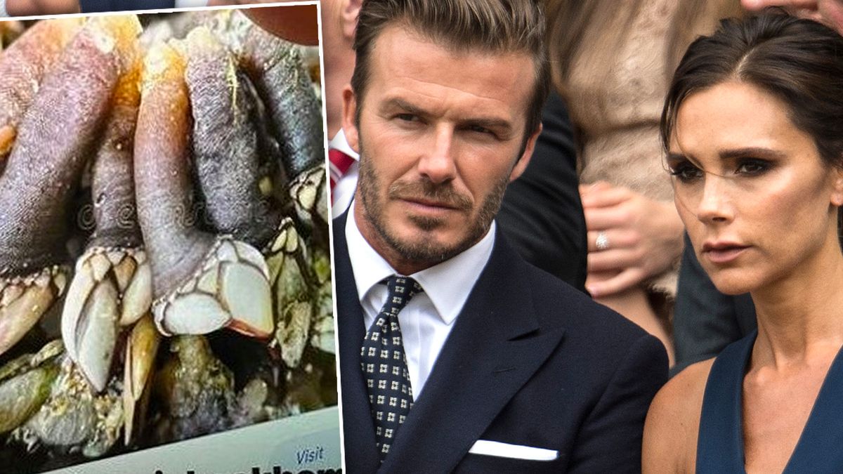 David Beckham ośmieszył Victorię, pokazując zdjęcie jej stóp. Porównał je do skorupiaka. To jakiś koszmar!