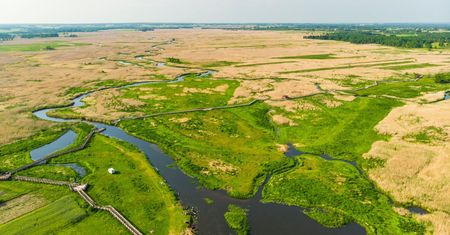 PGE wspiera Magurski Park Narodowy oraz Narwiański Park Narodowy