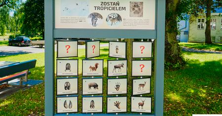 Doskonała lekcja biologii i ekologii na świeżym powietrzu