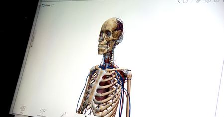 Nauka anatomii w trójwymiarze