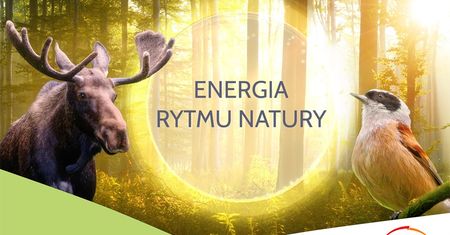 PGE Polska Grupa Energetyczna zaprasza do odwiedzania polskich parków narodowych