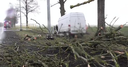 Drzewo upadło na samochód dostawczy. Jedna osoba nie żyje