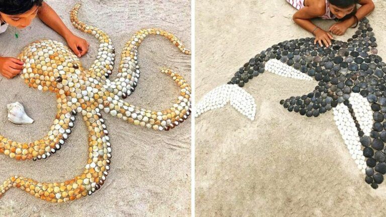 19 Images of Animals Made of Seashells. Summer Beach Art at Its Best!