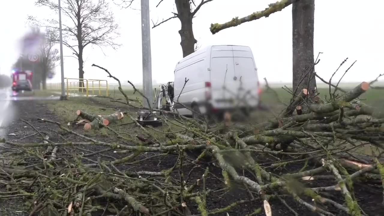 Drzewo upadło na samochód dostawczy. Jedna osoba nie żyje