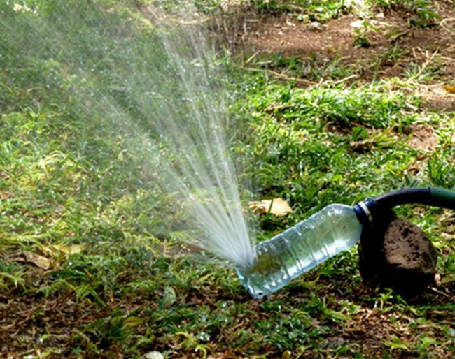 Kiedy nie masz ogrodowego zraszacza, plastikowa butelka jest najlepszym sposobem na rozwiązanie problemu.