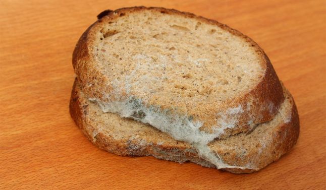 Pleśń szybko atakuje źle przechowywany chleb - Pyszności; foto: Canva
