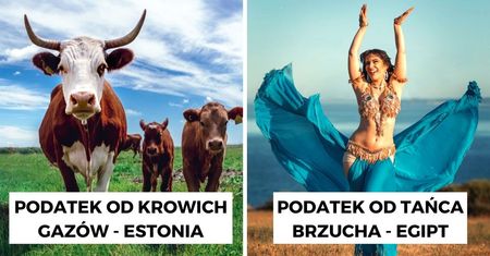 11 najdziwniejszych rzeczy na świecie, które zostały opodatkowane. Cukier wcale nie jest na pierwszym miejscu
