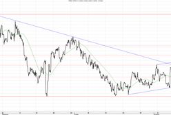 Złoty najsilniejszy w regionie