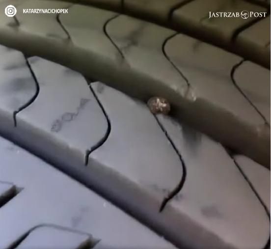 Kasia Cichopek - gwóźdź w oponie