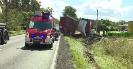 Wypadek ciężarówki przewożącej gęsi w Wielkopolsce. Kilka ptaków zmarło