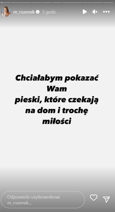 Małgorzata Rozenek poszukuje domu dla psów