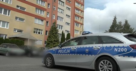 Pies śmiertelnie pogryzł mężczyznę w Gdyni. Ten miał go tylko wyprowadzić na spacer