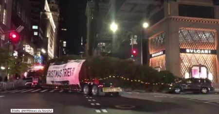 Coraz bliżej Święta. Ogromna choinka w drodze do Rockefeller Center w Nowym Jorku
