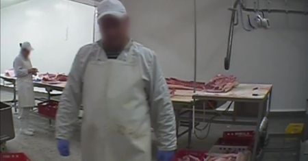 “Coś takiego to idzie na kebaba”. Przestępczy i lukratywny biznes zabijania chorych krów (DRASTYCZNE ZDJĘCIA)