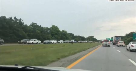 Na autostradzie koń biegł pod prąd