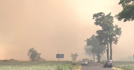 Prawie 200 hektarów zboża spłonęło w Dusinie w woj. wielkopolskim