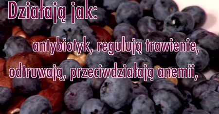 Zaczyna się sezon na pyszne i zdrowe borówki. Jakie mają właściwości?