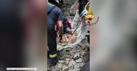 Włoscy strażacy helikopterem uratowali krowę i cielę z dna wąwozu