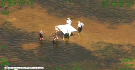 Delfin utknął na mieliźnie. Uratowali go policjanci z Florydy