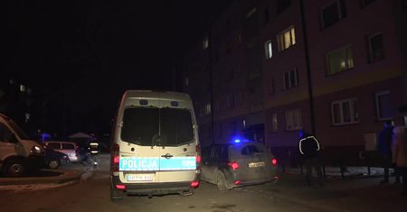 Trzy pociski w mieszkaniu w Sosnowcu. Ewakuowano 100 mieszkańców