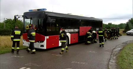 80 strażaków szuka pytona tygrysiego nad Wisłą
