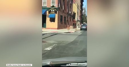 Jelonek na ulicach Hoboken. Zwierzę wyglądało na wyraźnie zdezorientowane