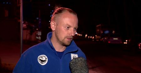 Martwa foka znaleziona nad Bałtykiem. Zwierzę miało zmiażdżoną głowę