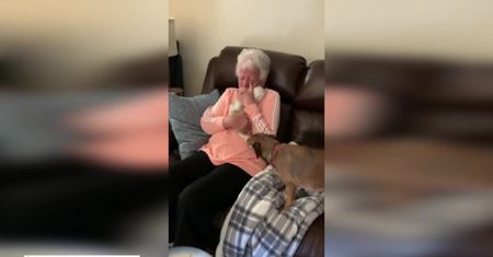Wzruszające urodziny. Babcia zyskała nowego przyjaciela