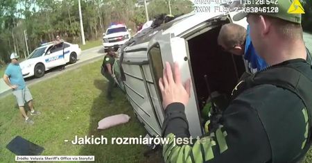 Podczas ucieczki przed policją jej auto dachowało. Kobieta i pies wyszli z wypadku bez szwanku