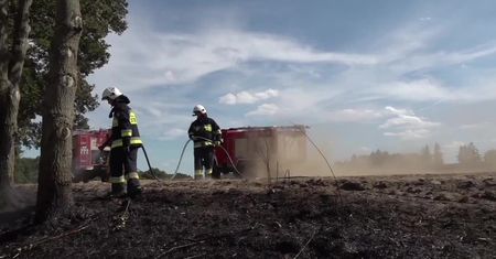 „Ognista trąba powietrzna” w Zachodniopomorskiem. Pożar strawił 3 ha lasu i 95 ha ścierniska