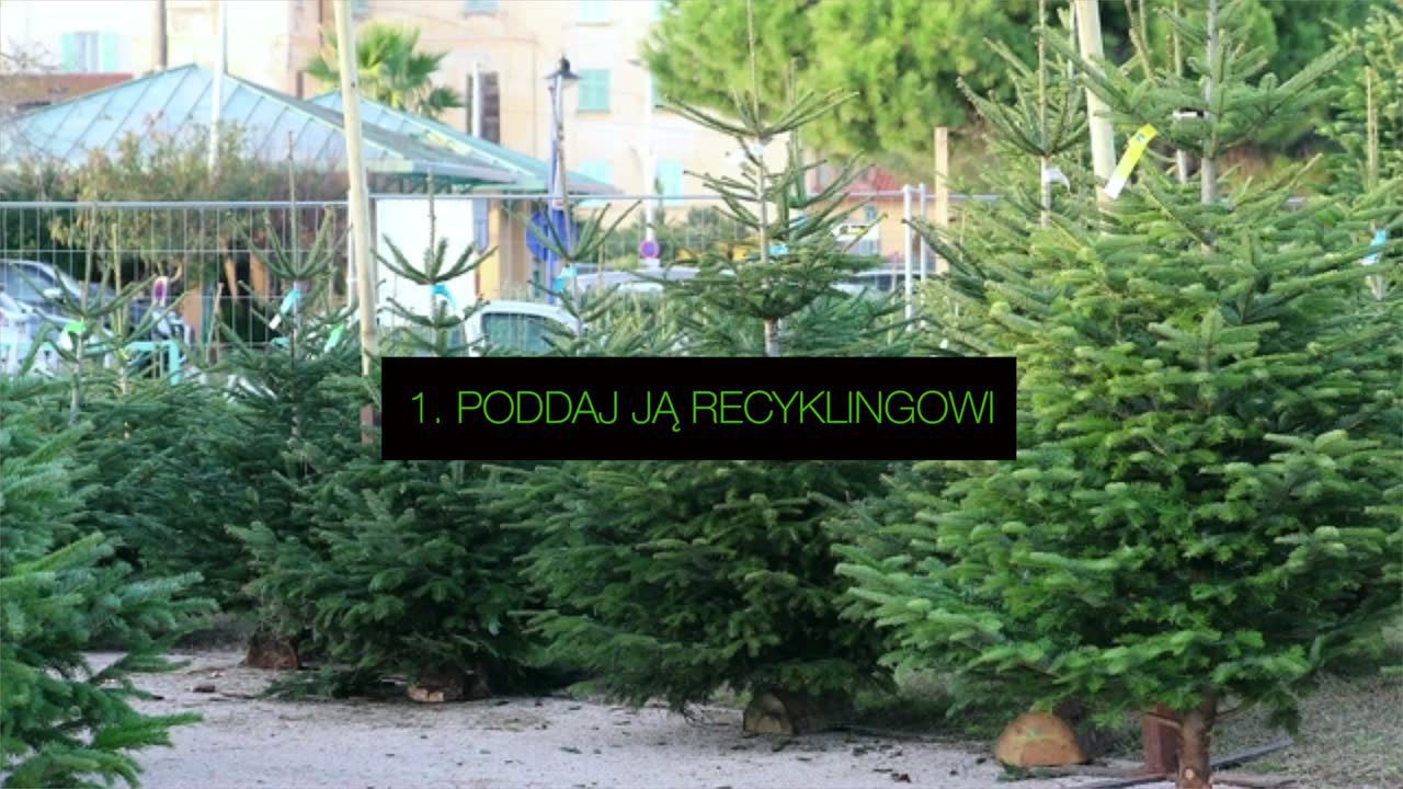 Jak pozbyć się choinki po świętach? 5 eko-sposobów
