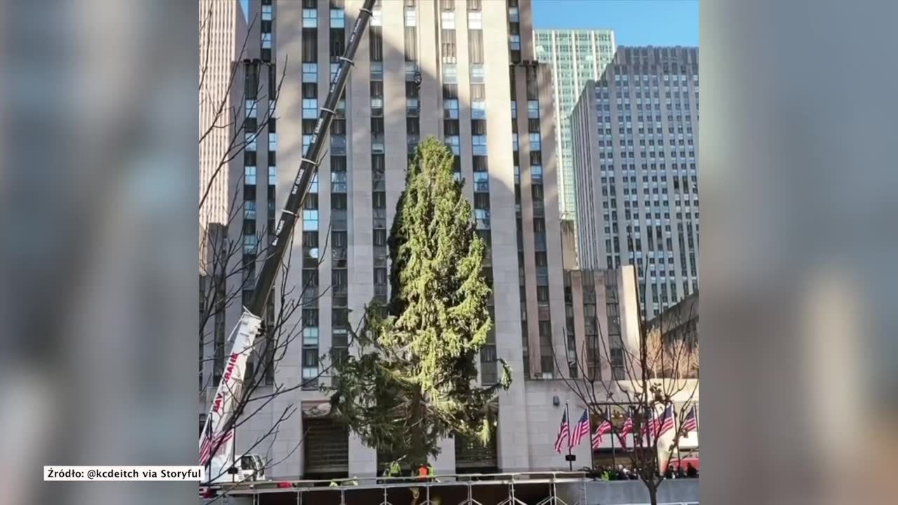 Słynna świąteczna choinka ustawiona przed Rockefeller Center w Nowym Jorku