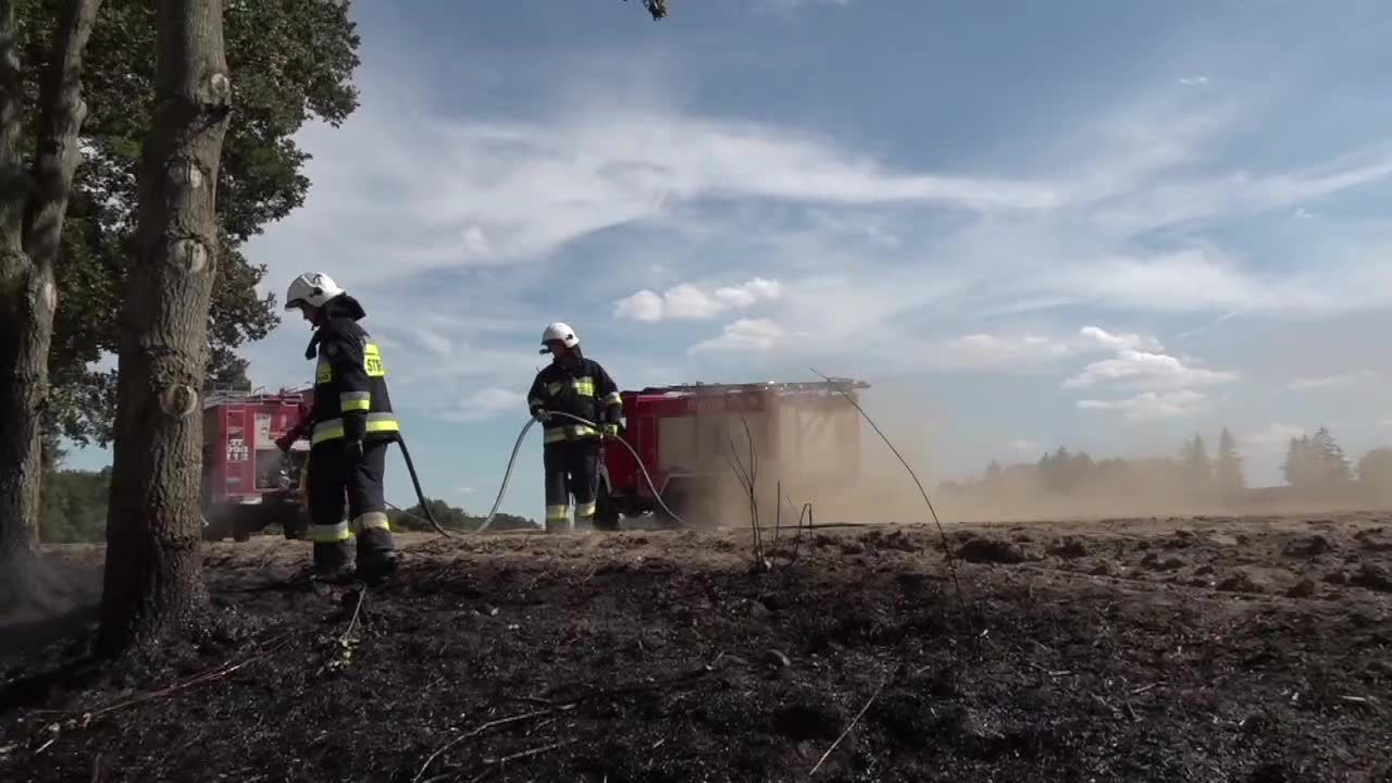 „Ognista trąba powietrzna” w Zachodniopomorskiem. Pożar strawił 3 ha lasu i 95 ha ścierniska