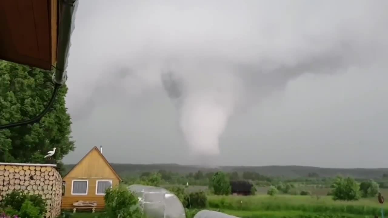 Tornado na zachodzie Rosji zniszczyło 145-letnią sosnę