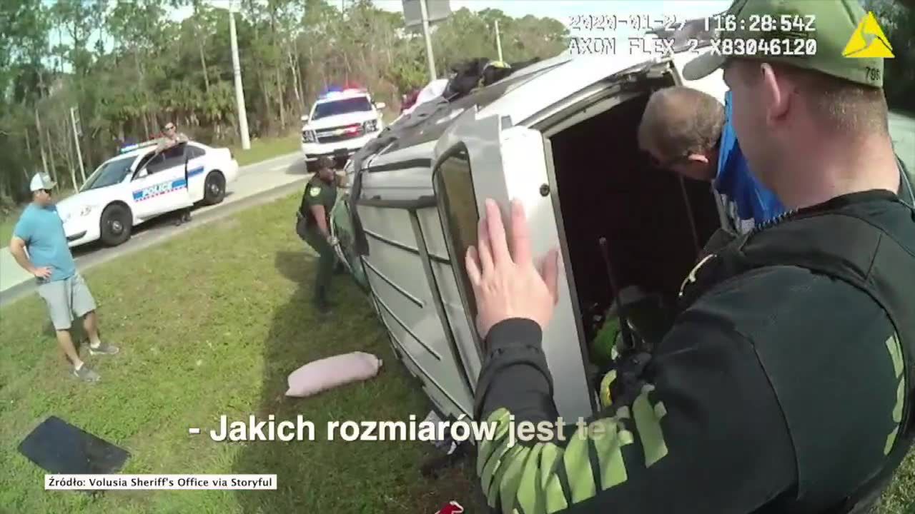 Podczas ucieczki przed policją jej auto dachowało. Kobieta i pies wyszli z wypadku bez szwanku