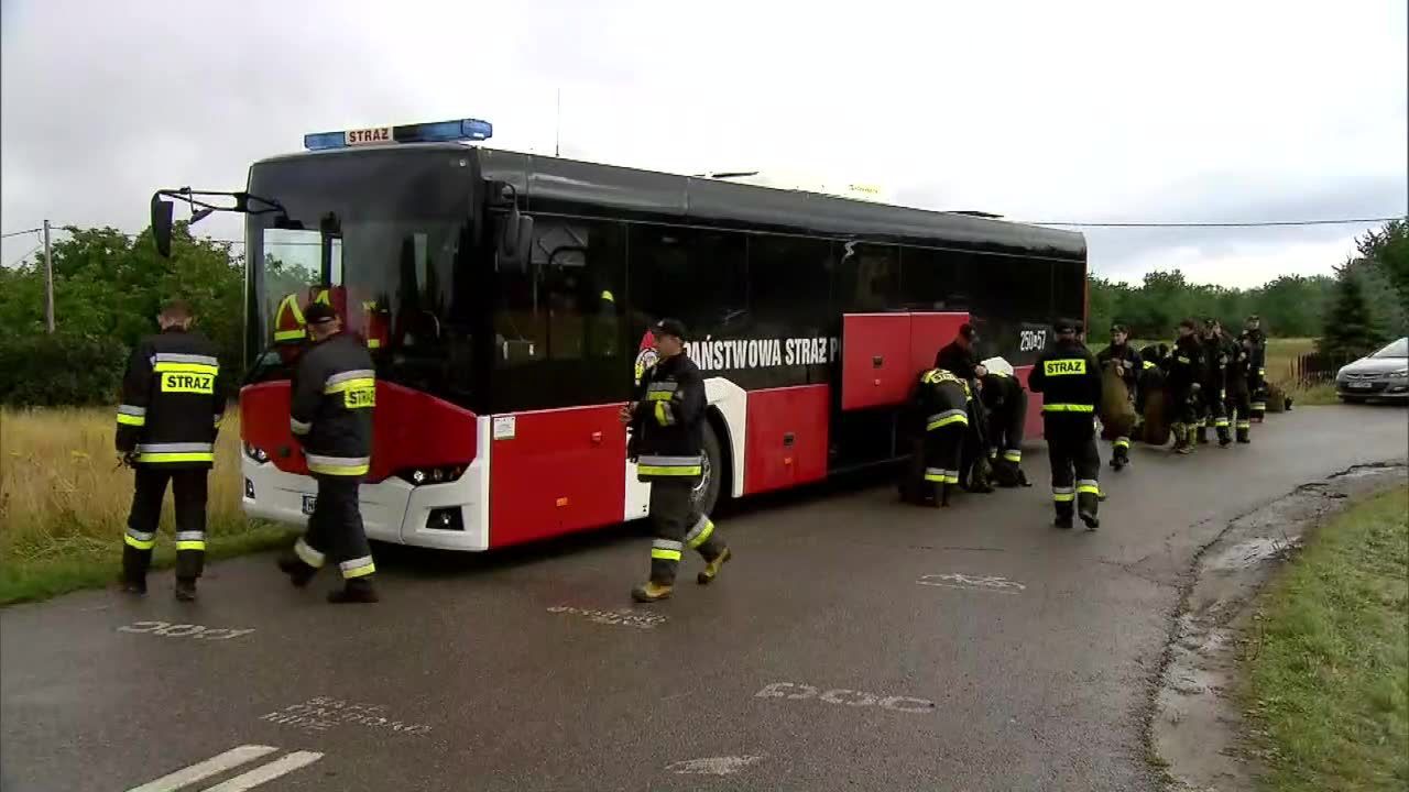 80 strażaków szuka pytona tygrysiego nad Wisłą