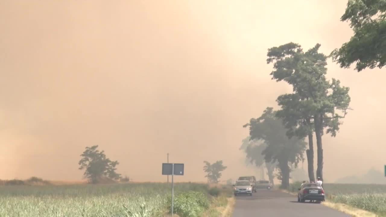 Prawie 200 hektarów zboża spłonęło w Dusinie w woj. wielkopolskim