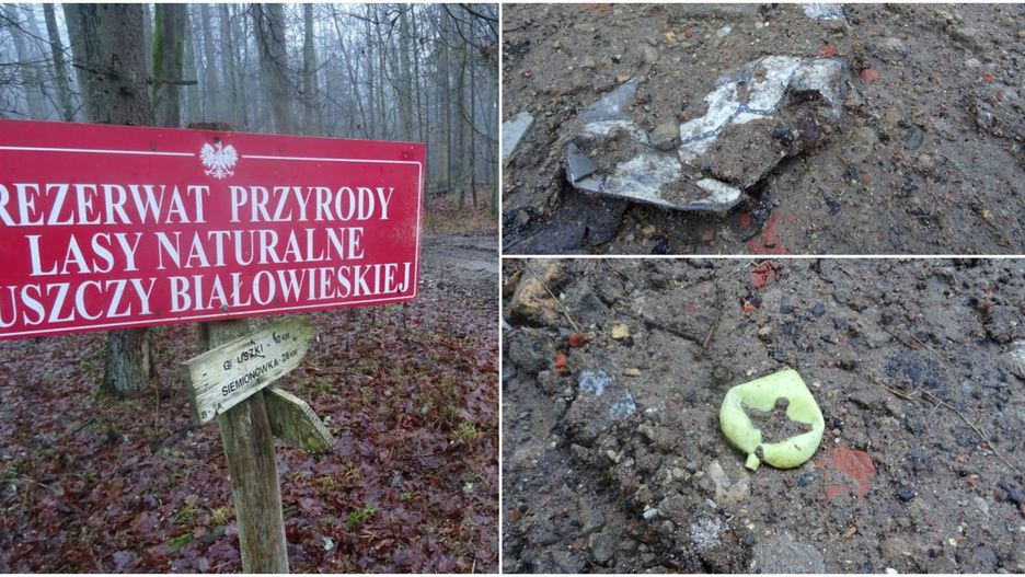Zdjęcia potwierdzające ten proceder zamieszczają ekolodzy z Obozu dla Puszczy.