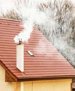 W konkursie wystartowała jedna osoba. Zajęła trzecie miejsce