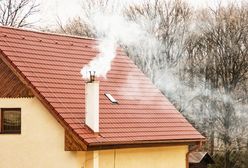 W konkursie wystartowała jedna osoba. Zajęła trzecie miejsce