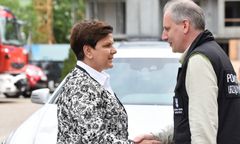 Wojewoda Drelich: słowa o grabieniu liści to fake news. Radni wręczyli mu grabie