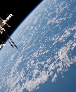 Bezprecedensowe badanie NASA. Wyrzucili w kosmos bakterie coli