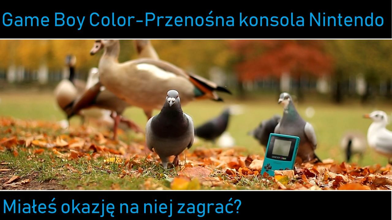 Przygoda z GBC po latach