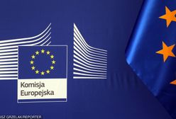 Komisja Europejska przyjęła argumenty ws. wycinki? Możemy uniknąć kar