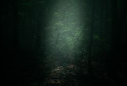 Ten las zabrał życie trzech pokoleń. Mówi się, że za kapliczką gasną silniki